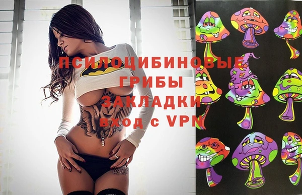 индика Армянск