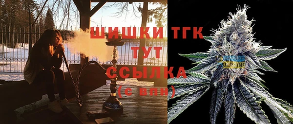 гашик Аркадак