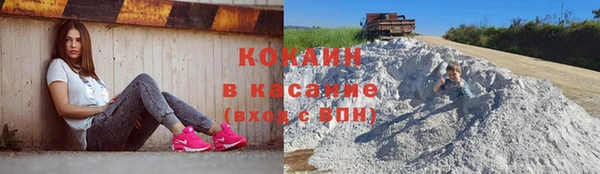 гашик Аркадак